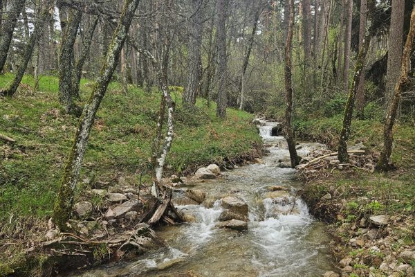ARROYO-MAYOR-OTONO-INVIERNO