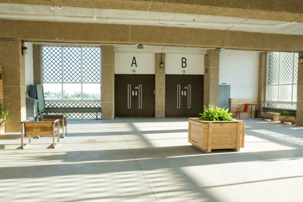 ENTRADA