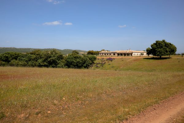 Fincas_Ciudad_Real-70-1
