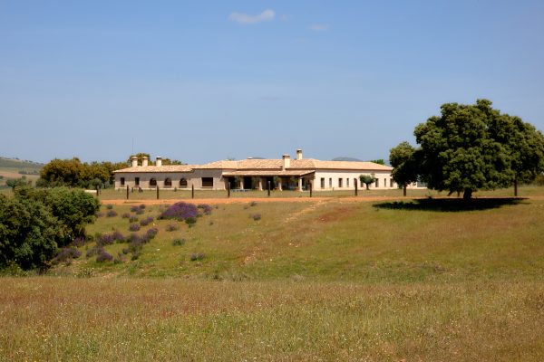 Fincas_Ciudad_Real-71