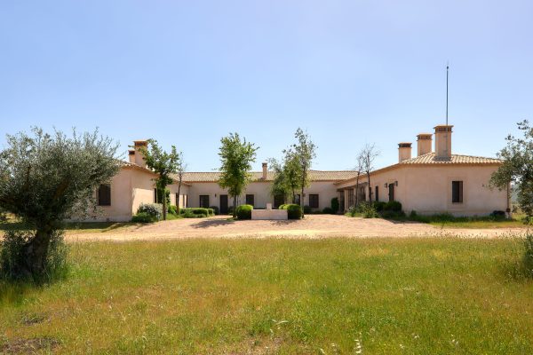 Fincas_Ciudad_Real-77
