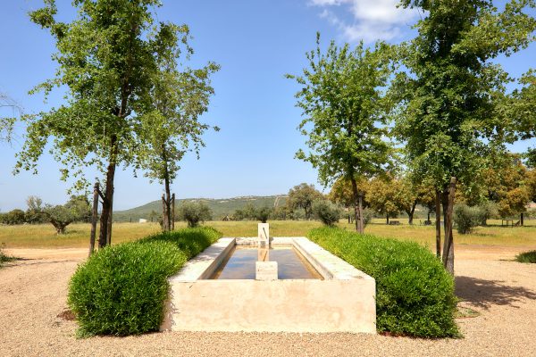 Fincas_Ciudad_Real-79