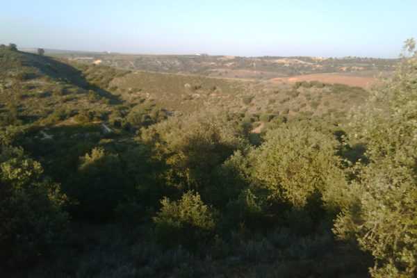 IMG01224-20120314-1838