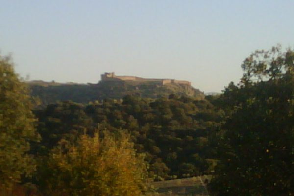 IMG01228-20120314-1839