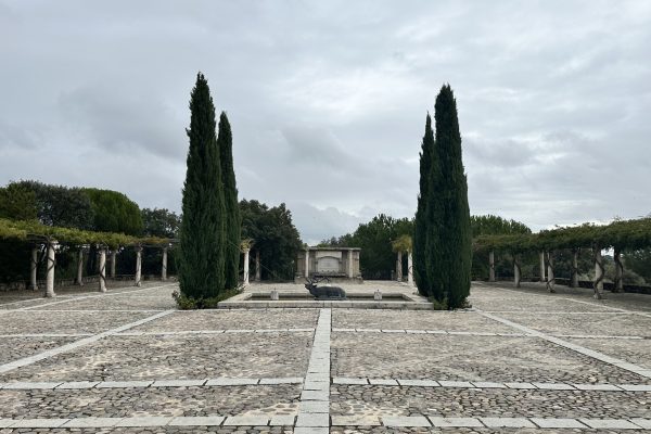 IMG_6673