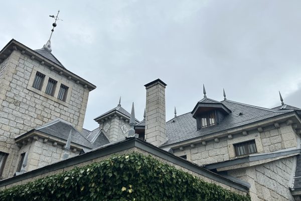 IMG_6803