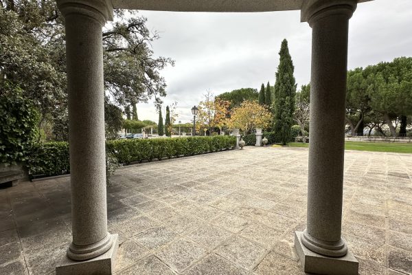 IMG_6826
