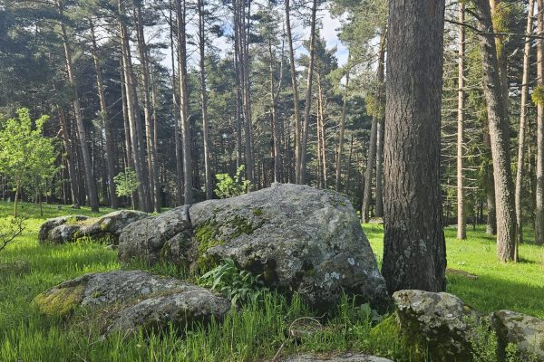 NATURALEZA
