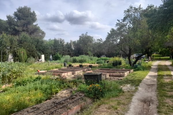 PHOTO-2026-04-25-18-41-562