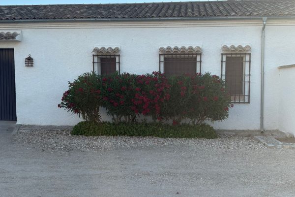 PHOTO-2026-06-28-14-36-46