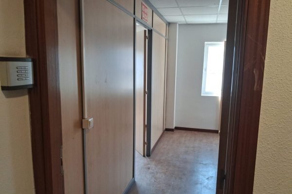 PHOTO-2026-07-28-13-00-25