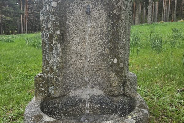 RINCONES-ESPECIALES-Fuente-de-Manantial.Agua-de-manantial