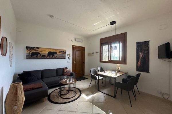 casa-mediterranea-terraza-olivos-piscina-02