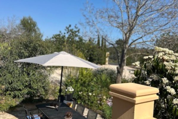 casa-mediterranea-terraza-olivos-piscina-06