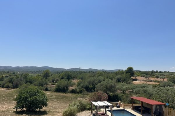 casa-mediterranea-terraza-olivos-piscina-08