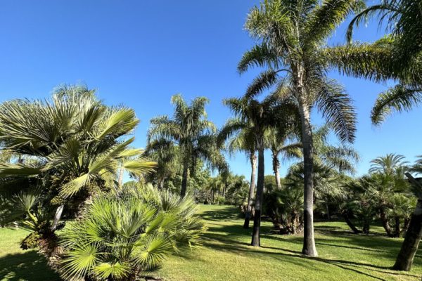 huelva-fast80-finca-el-ranchito-20261026-12