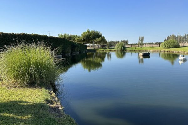 huelva-fast80-finca-el-ranchito-20261026-14