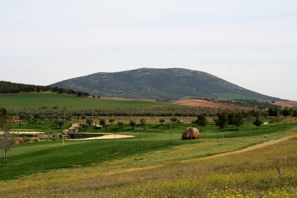 imgi_13_golf