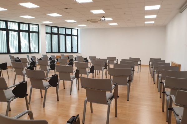 pablovi-sala-newman-20261012-01