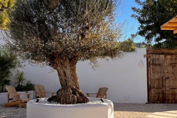 syt-cadiz60-elportet-wouter-anouk-20261005-11