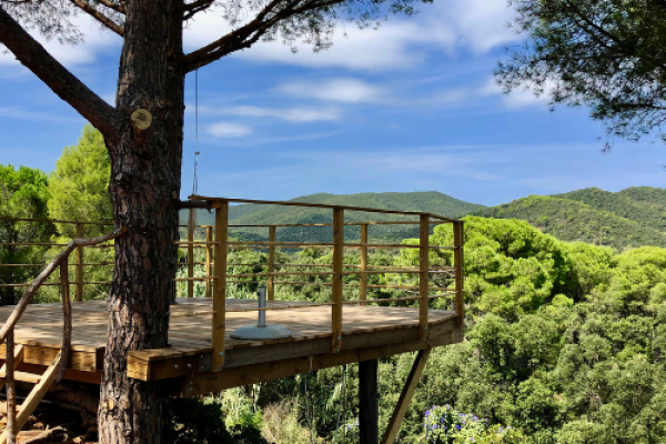 syt-cadiz60-treehouse-cashoek-calonge-20261005-08