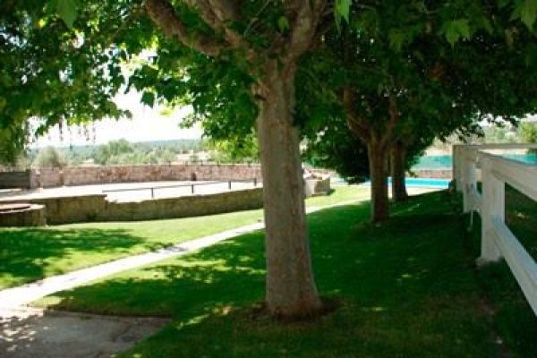 syt-mad60-parrilla-finca-20261017-03
