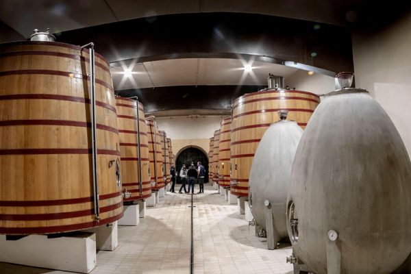 syt-rioja40-queiron-20261017-05