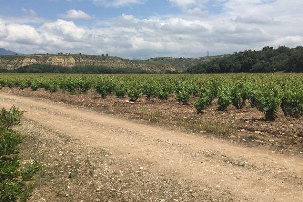 syt-rioja40-valpiedra-20261017-06