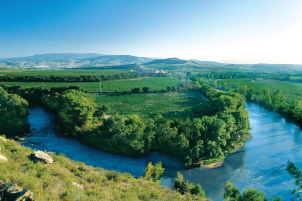 syt-rioja40-valpiedra-20261017-08
