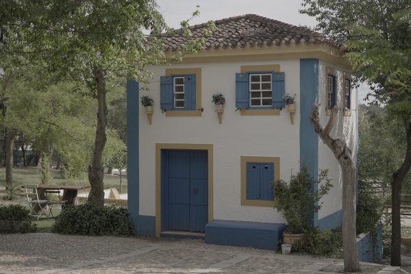 syt-rural2-alamo-finca-20261018-01