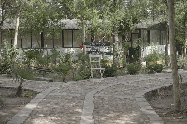 syt-rural2-alamo-finca-20261018-02