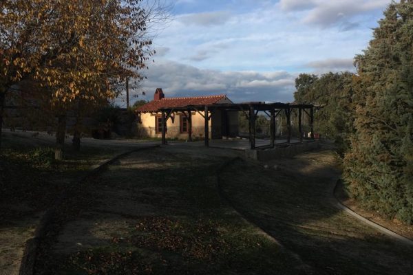 syt-rural2-ecocamp-finca-20261018-10