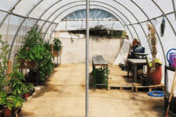 syt-rural2-ecocamp-finca-20261018-22