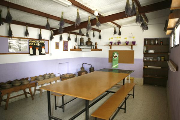 syt-rural2-jarama-finca-20261018-06