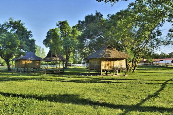 syt-rural2-jarama-finca-20261018-08