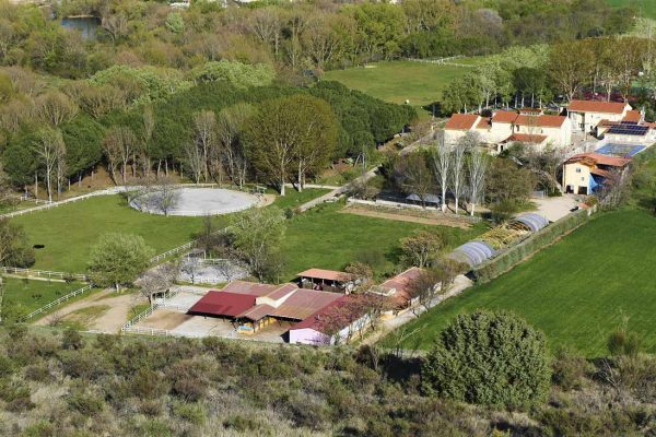 syt-rural2-jarama-finca-20261018-10