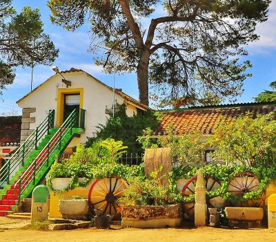 syt-rural2-palomar-finca-20261018-01