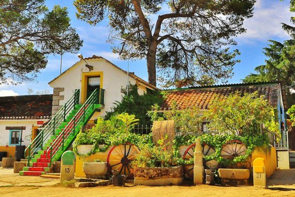 syt-rural2-palomar-finca-20261018-01