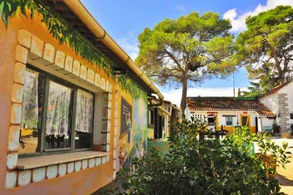 syt-rural2-palomar-finca-20261018-07