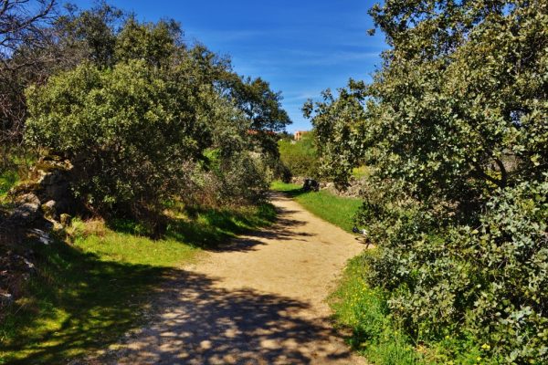 syt-rural2-palomar-finca-20261018-22