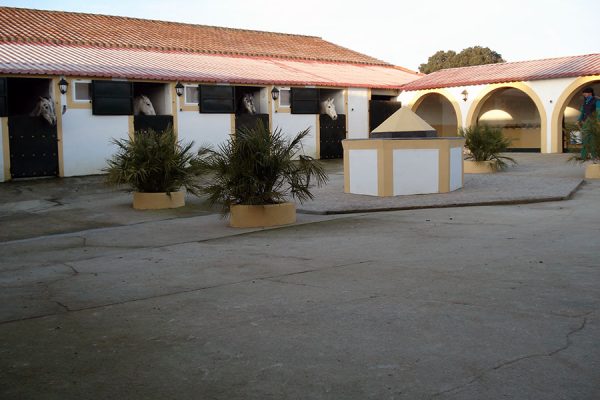 syt-sv60-perez-20261019-16