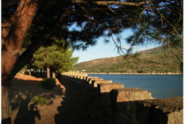 syt-water60-isla-20261020-14