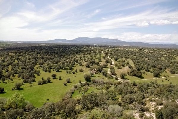 sytios-el-rubio-20261021-60