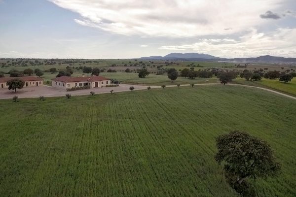 sytios-el-rubio-20261021-64