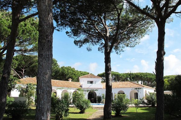 villa-andaluza-pinos-arcos-piscina-tenis-01