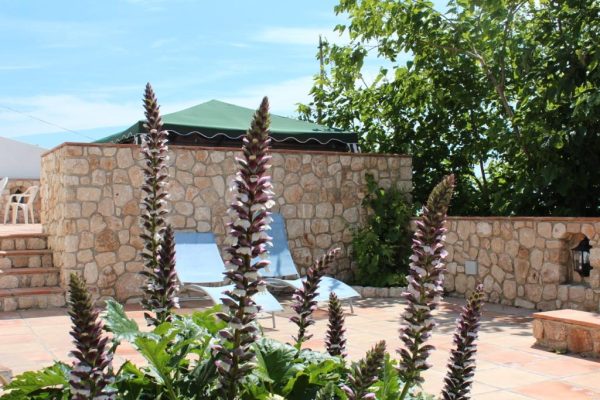 villa-andaluza-vigas-piscina-terrazas-mar-09