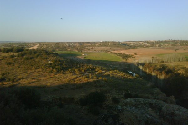 vta-gral-2